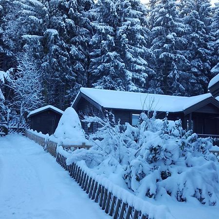 Waldsee-Ferienhaus-Mit-Kamin-W-Lan Clausthal-Zellerfeld Exterior foto
