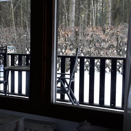 Waldsee-Ferienhaus-Mit-Kamin-W-Lan Clausthal-Zellerfeld Exterior foto