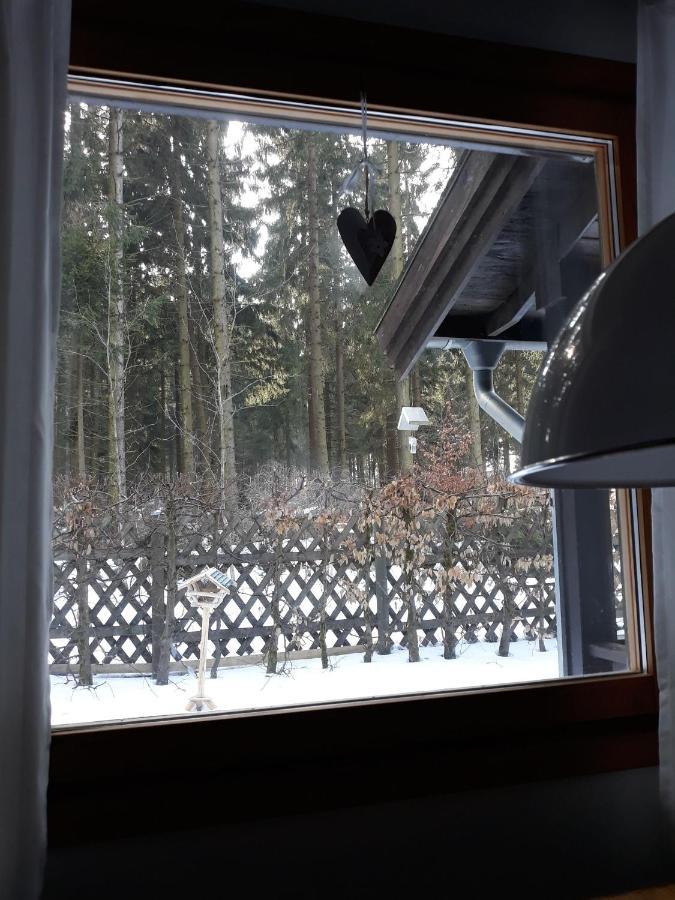 Waldsee-Ferienhaus-Mit-Kamin-W-Lan Clausthal-Zellerfeld Exterior foto