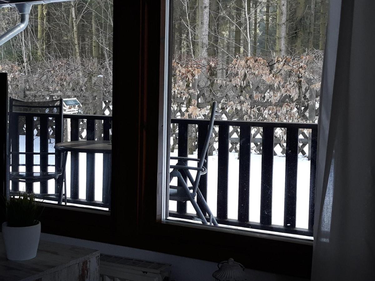 Waldsee-Ferienhaus-Mit-Kamin-W-Lan Clausthal-Zellerfeld Exterior foto